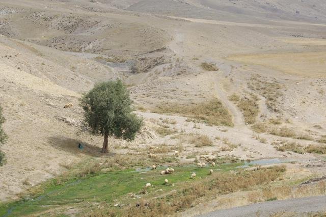 Urlaub in Iran 2018